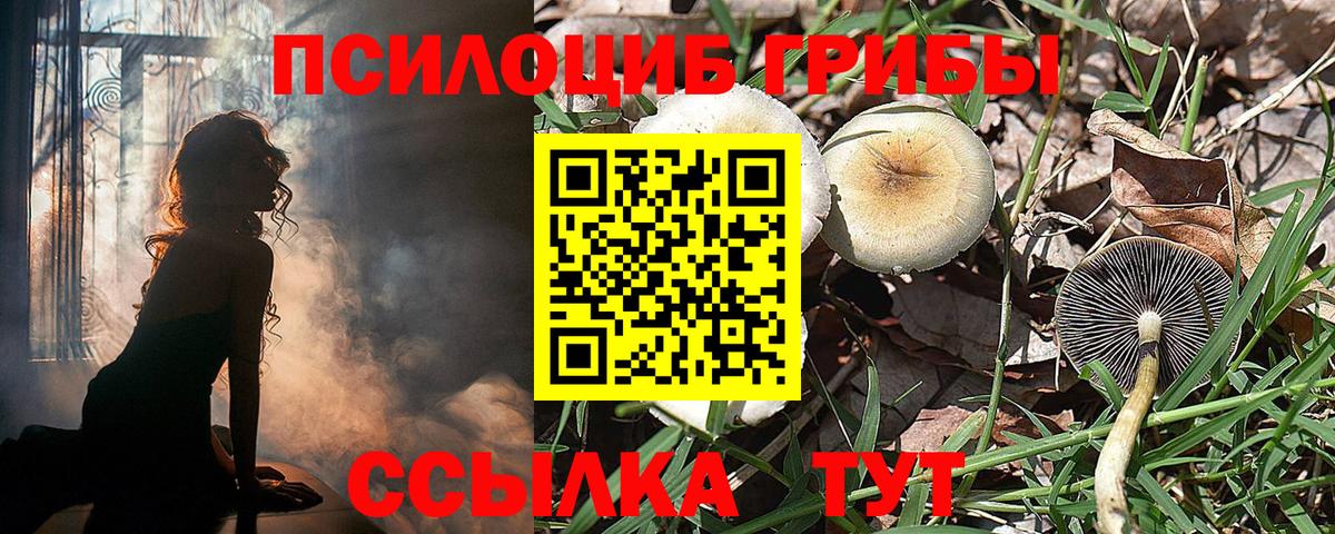 Псилоцибиновые грибы Magic Shrooms Великий Устюг