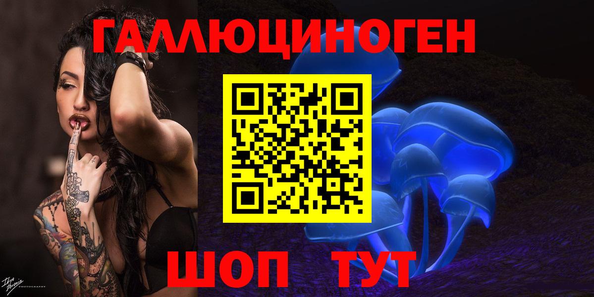 Великий Устюг  Галлюциногенные грибы Psilocybe  Вход с VPN 
